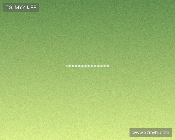 聚焦世界足球明星成长历程与赛场风云传奇精彩故事深度全景解读